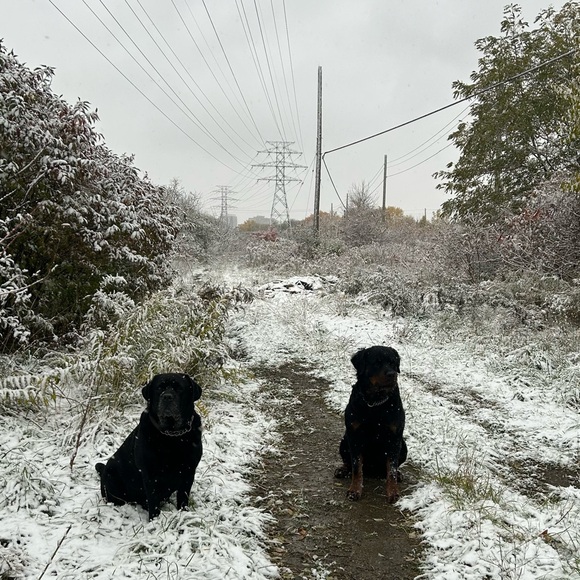 Meet your Posher, Caroline - Picture 1 of 1